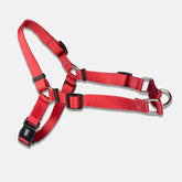 Peitoral para Cachorro Anti Puxão Aquarela Rubi